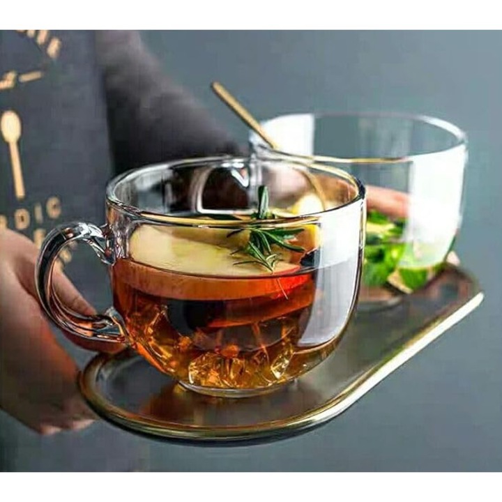 Set 2 Cani, Sticla, transparente, 490 ml