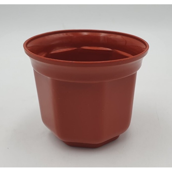 Set ghivece teracota 8cm, 20 bucati, POLPLAST