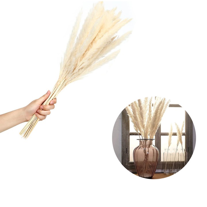 Buchet de iarba pampas uscata, Enforose, aspect rustic, personalizabil, multicolor, dimensiune variabila