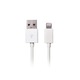 Cablu de incarcare si date pentru iPhone/iPad, White