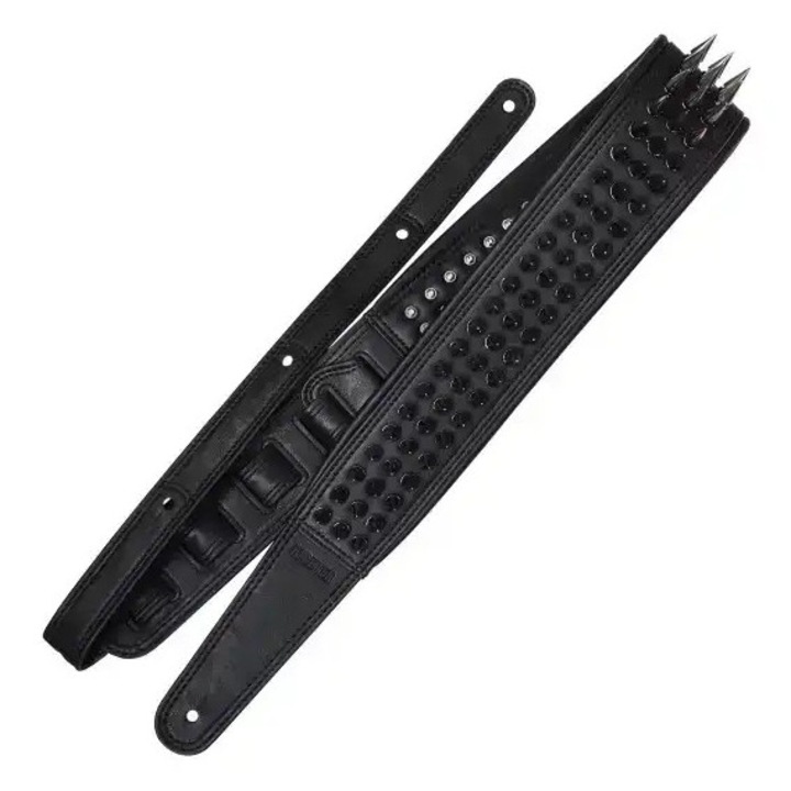 Curea Chitara, Richter Blackness Gunblack Spikes 1813