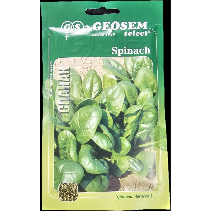 Seminte Spanac Matador Geosem 30g