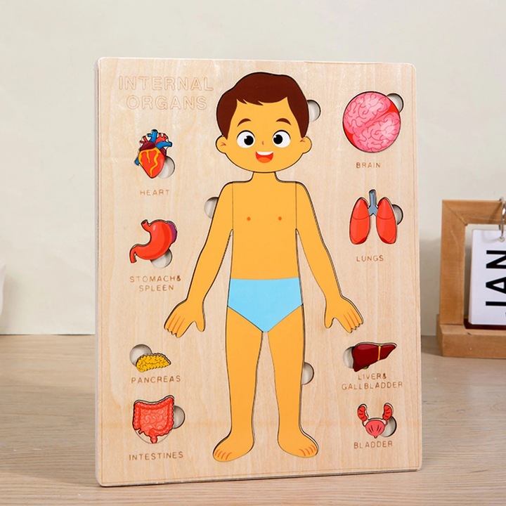 Puzzle lemn corp uman YANYXR educativ 22.5x18x1cm