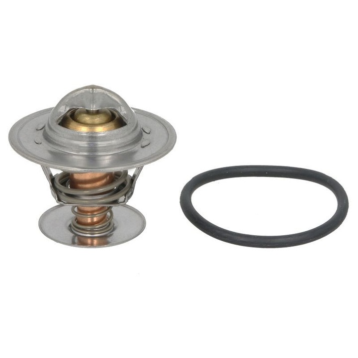 Термостат за охлаждаща течност Audi A4 B7 двигател