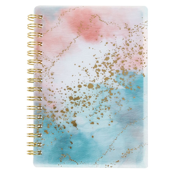 Carnetel Notite Agenda A6 80 File Dictando Coperta Plastic Marble Somon Verde cu Spirala