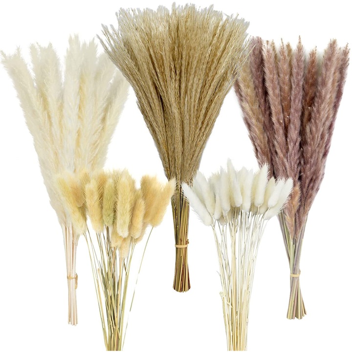 Iarba Pampas Uscata, Enforose, Set 100 bucati, Alb, Decor Natural pentru Acasa
