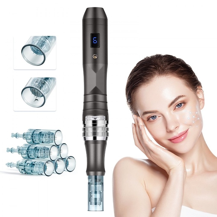 Stilou Profesional pentru Microneedling, Pen Electric de Frumusete, 6 Viteze, Echipat cu 6 Ace