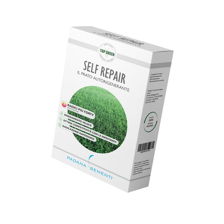 Seminte pentru gazon Sport, Auto-regenerare, Padana, origine SUA, 1 kilogram