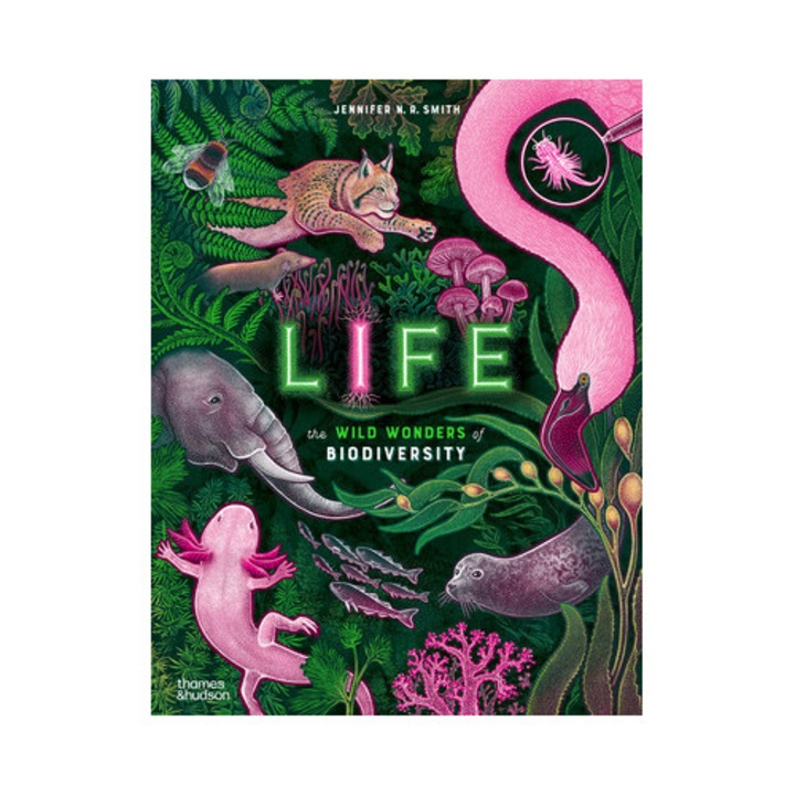 Life: The Wild Wonders Of Biodiversity - Jennifer N. R. Smith