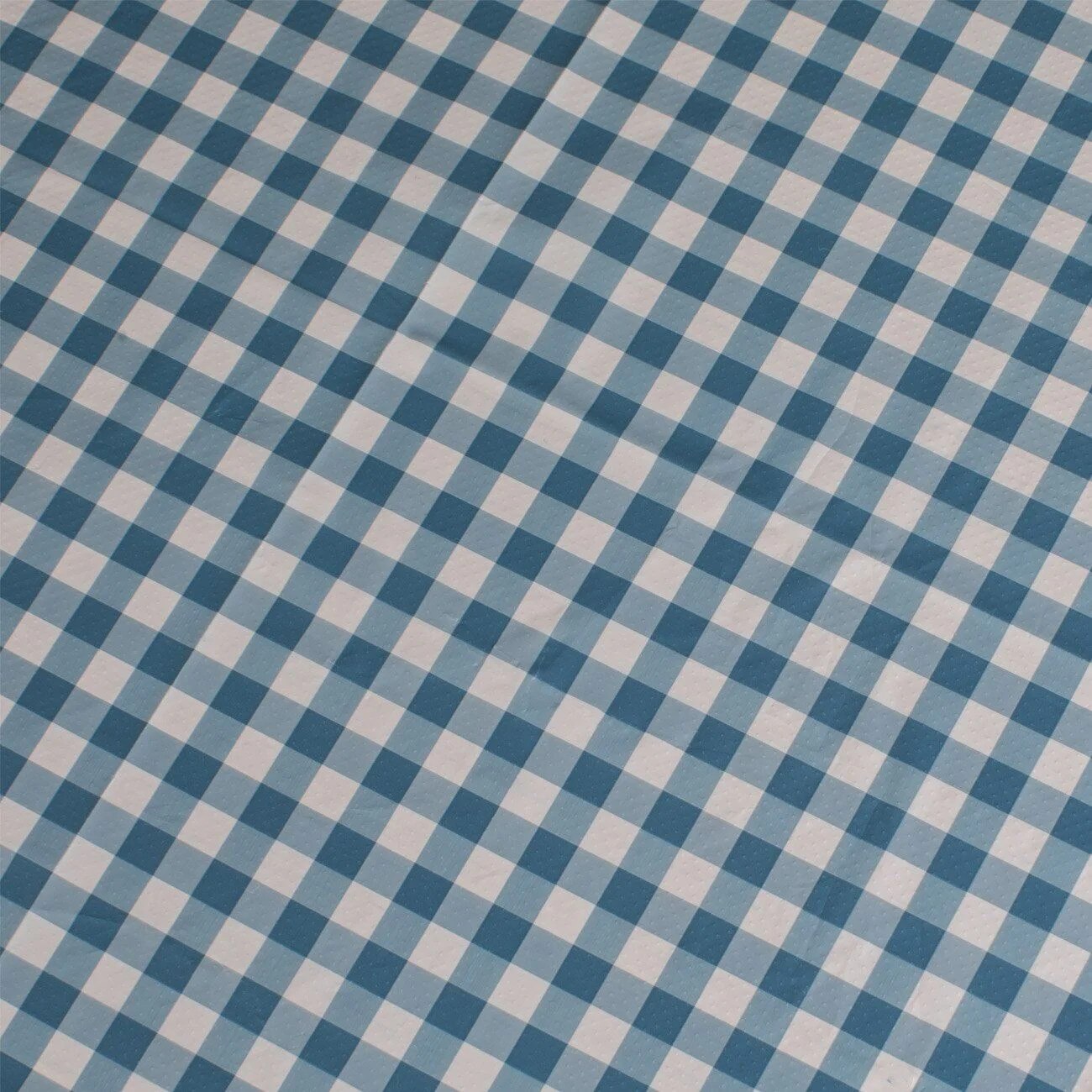 Fata de Masa din Plastic Albastru in Carouri 214x137cm - eMAG.ro