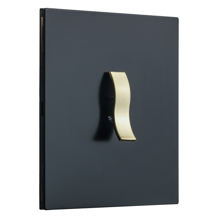 Intrerupator metalic Aurora, 1Gang 2Way, 10A, Negru Mat cu detalii Aurii, doza inclusa