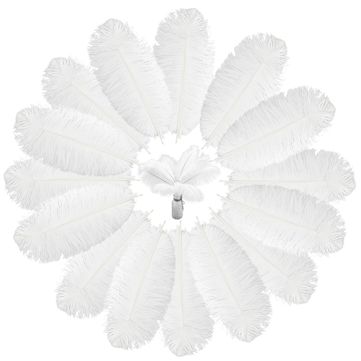 Set 15 Pene de strut, Enforose, 15-20 cm, Alb