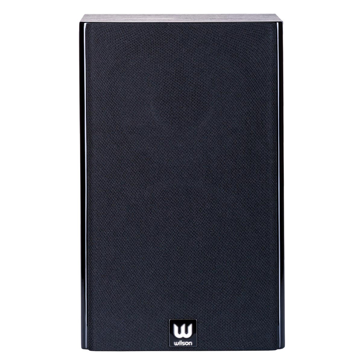 Boxe de raft, Wilson, Raptor Mini, Set 2 buc, negru