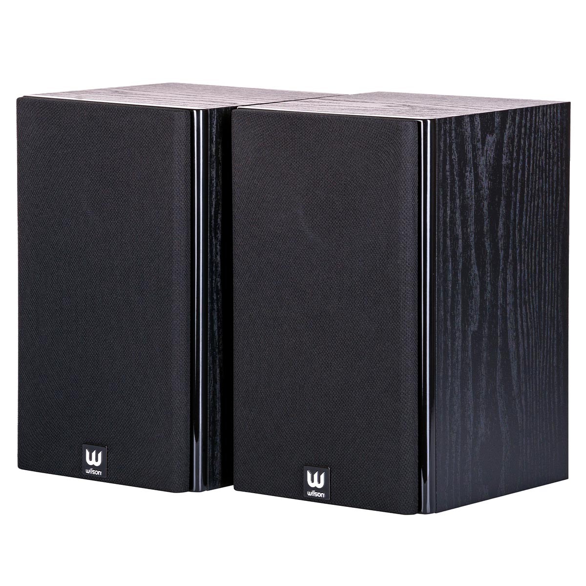 Boxe de raft, Wilson, Raptor Mini, Set 2 buc, negru