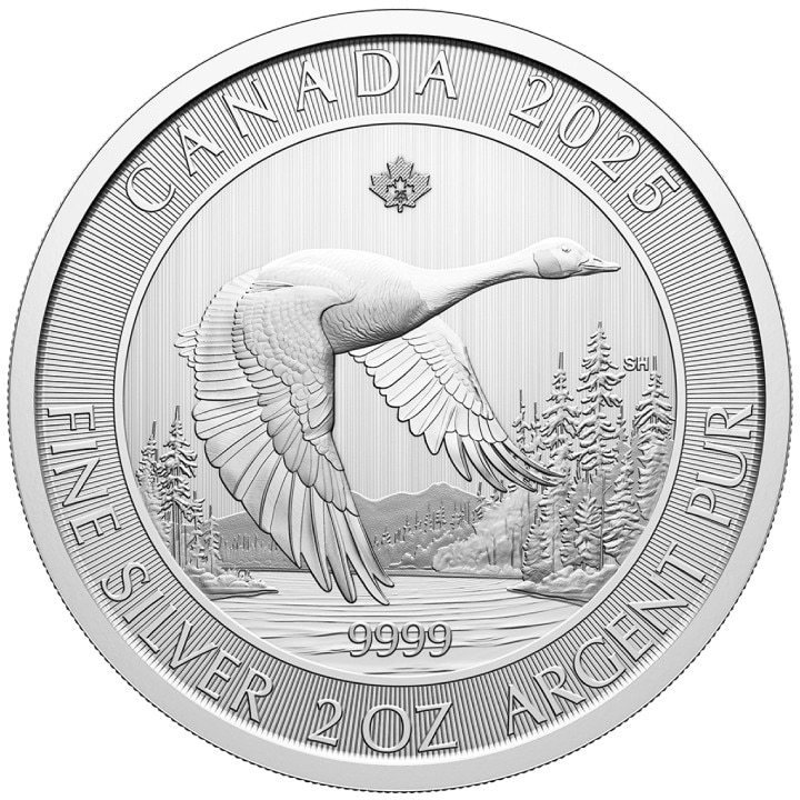 Moneda Argint Canada 2025 - Goose, 2 Oz,62.2 g, puritate 999 - eMAG.ro