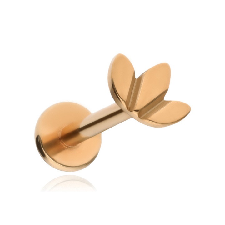 Cercel din titan cu frunze, roz aurie, 1,2x6mm, set 1 bucata