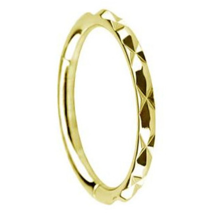 Piercing dama, Crazy Needles, titan, 1.2/8