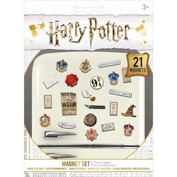 Set Magneti Metalici Harry Potter, Wizarding Word, 21 pcs
