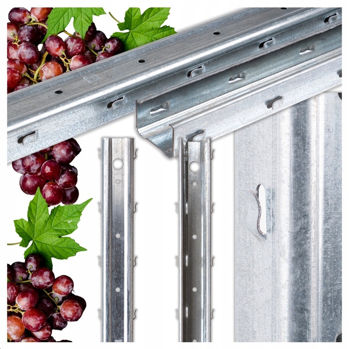 Set Stalpi spalieri vie, 50x30mm, 2.5m profil C, grosime 1.5mm, galvanizati la cald, carlige duble, stabilitate randuri, rezistenta coroziune, montaj rapid, 5 buc