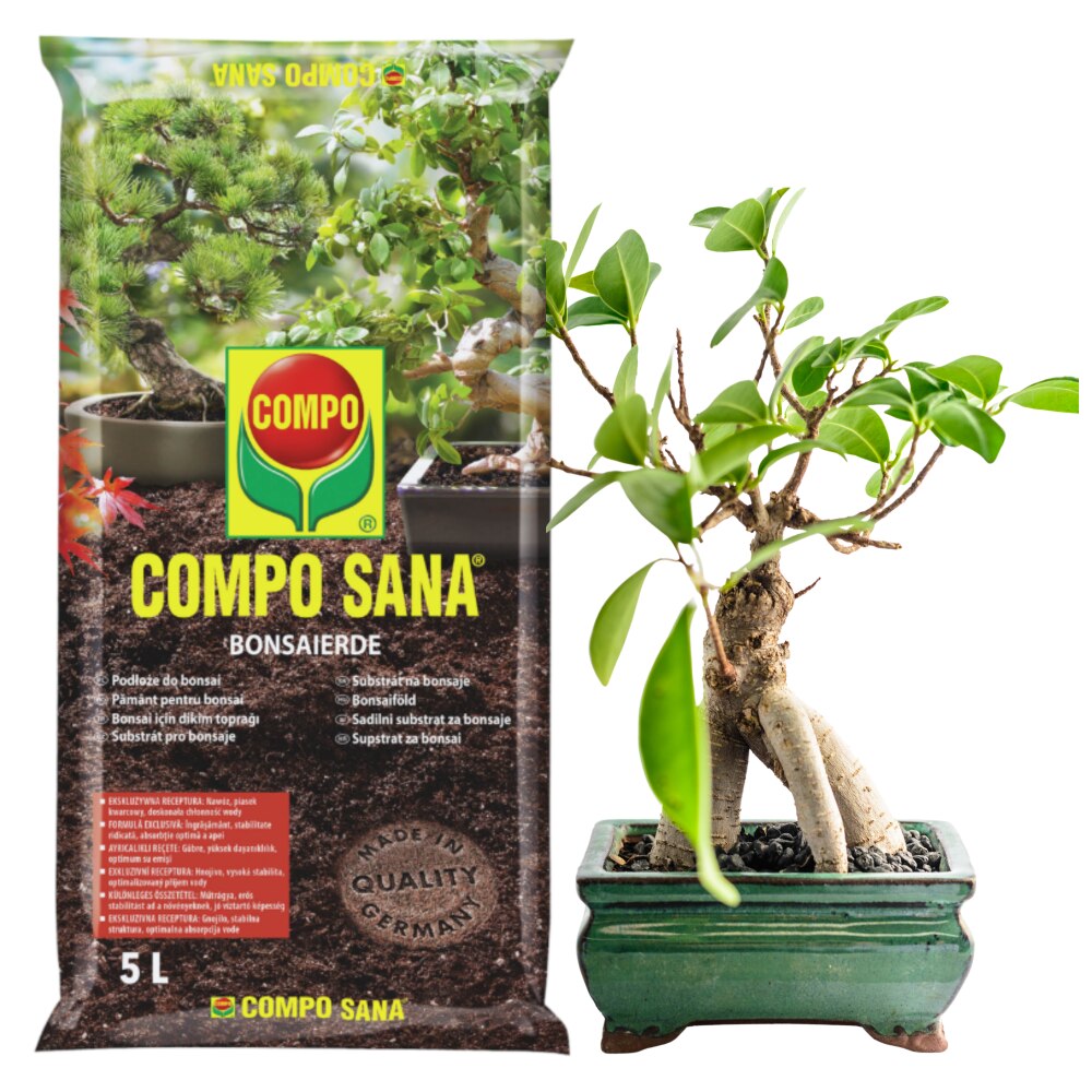 Pamant Pentru Bonsai, Compo, 5 L, Contine Ingrasamant Cu Efect De 8  Saptamani, Ideal Pentru Cultivarea Copacelor Acasa Si In gradina, Calitate  Inalta, Stabilitate A Plantelor, Nisip Natural De Cuart - eMAG.ro
