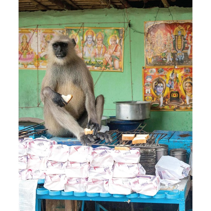 India Local - Sonal Ved