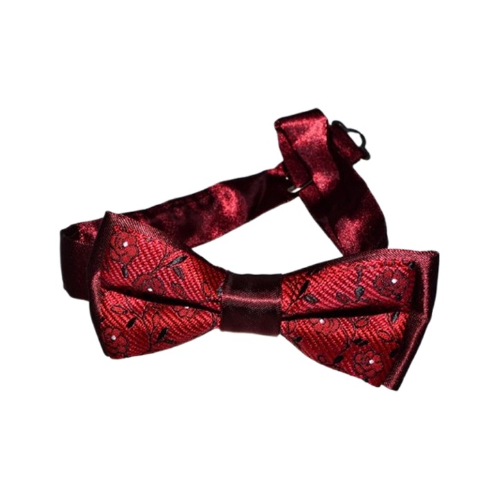 Папийонка за момче, Mini Junior PPN2703-1, Visiniu