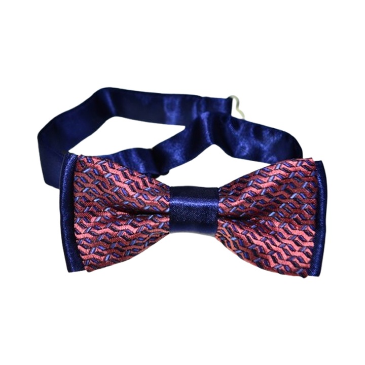 Папийонка за момче Mini Junior PPN2703-9 Многоцветна