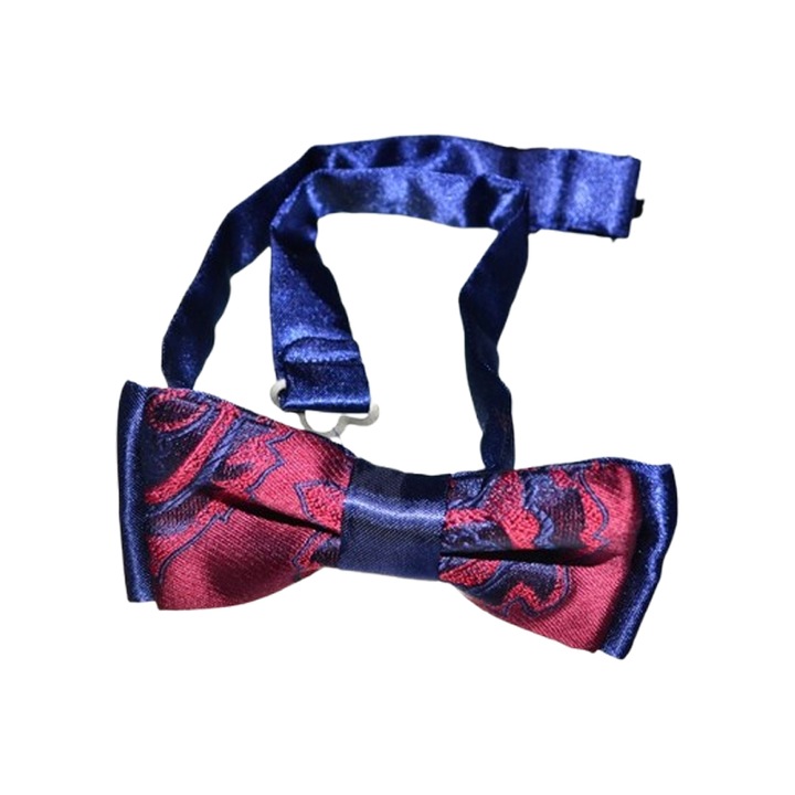 Папийонка за момче Mini Junior PPN2703-12 Многоцветна