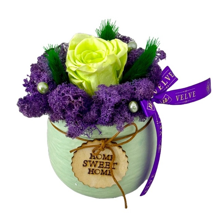 Aranjament floral Home, in vas ceramic cu trandafir criogenat, lagurus si licheni stabilizati, Verde, 14 cm, Velve