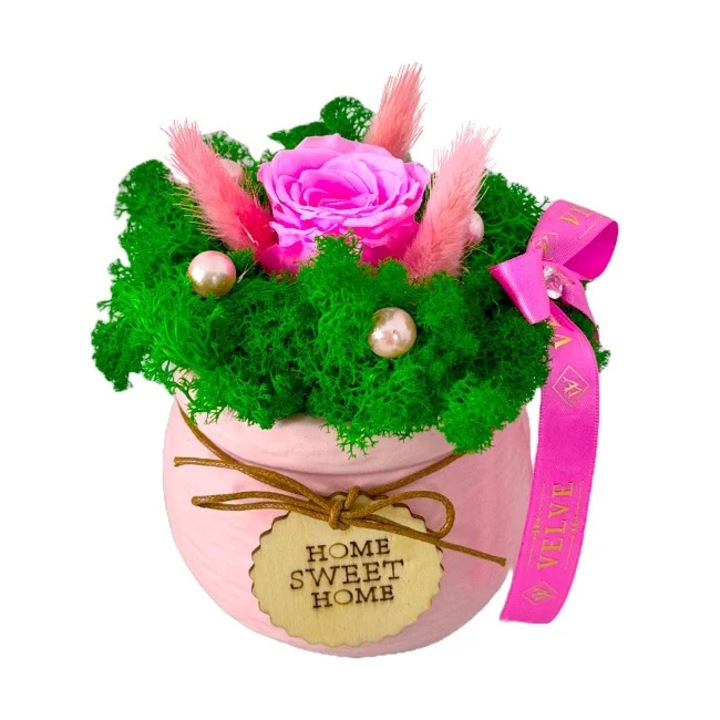 Aranjament floral Home, in vas ceramic cu trandafir criogenat, lagurus si licheni stabilizati, Roz, 14 cm, Velve