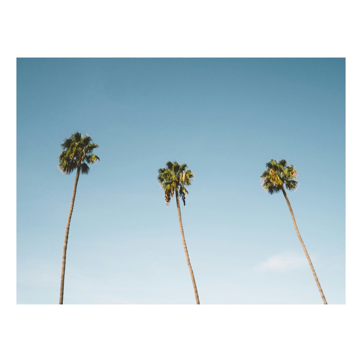 Картина на платно, "Три палми под ясно небе", Спокойствие, Небе, Палми, Синьо, Семпло, 54 x 39 см
