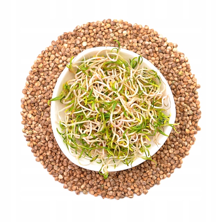 Spenótmagok csíráztatásra, winoszarnia, 100g