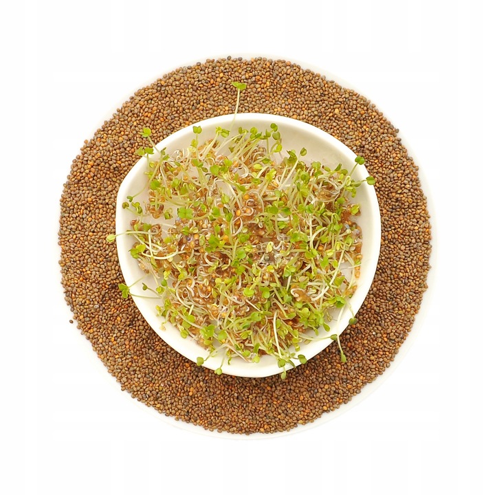 Rukkola magvak, winoszarnia, 250g