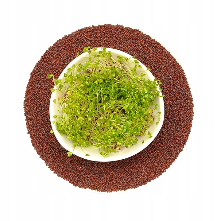 Seminte de brocoli pentru germinare, winoszarnia, 50g, bogate in vitamine si minerale, gust picant