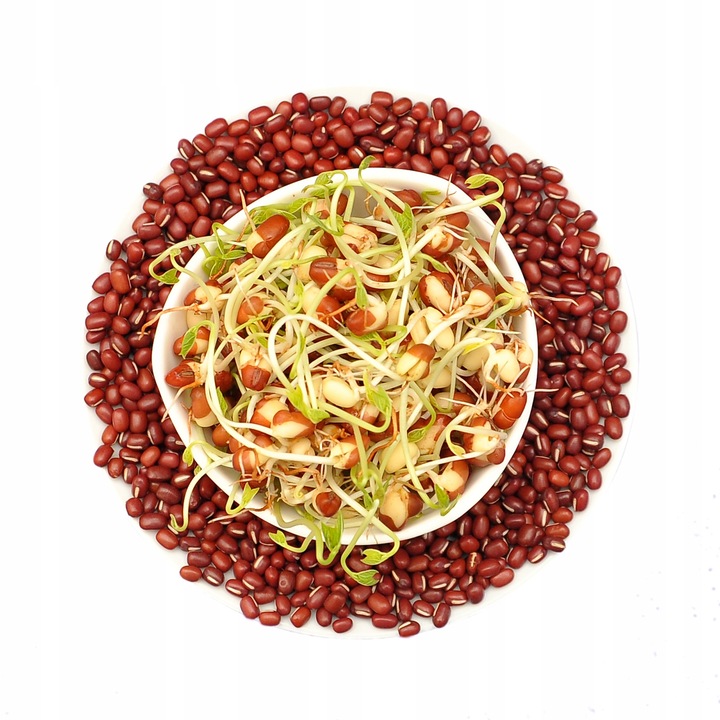Adzuki bab, winoszarnia, 500g, csírázómagok