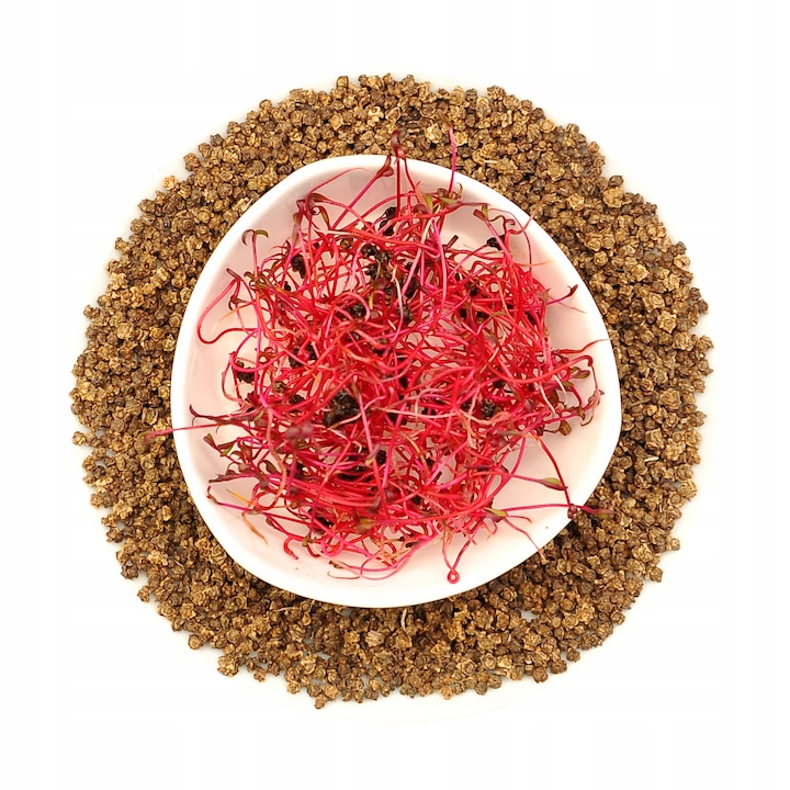 Sfecla rosie, winoszarnia, 250g