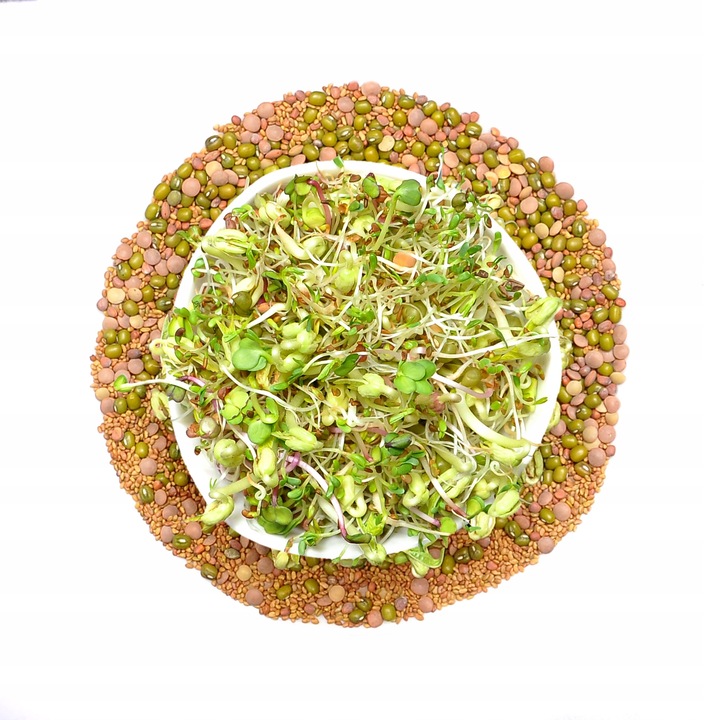 Mieszanka Lagodna - 250g Nasiona pentru Kielki, winoszarnia, 5 tipuri, ambalaj doypack