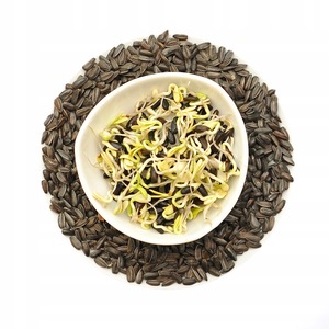 Bulbi, seminte si rasaduri