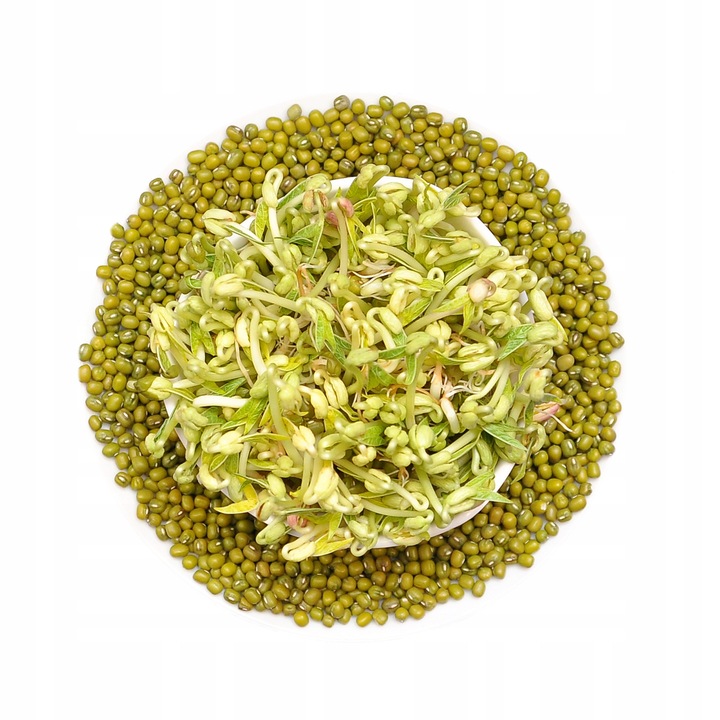 Fasola Mung 100g - seminte pentru kielki, winoszarnia, bogate in proteine, 2-4 zile germinare