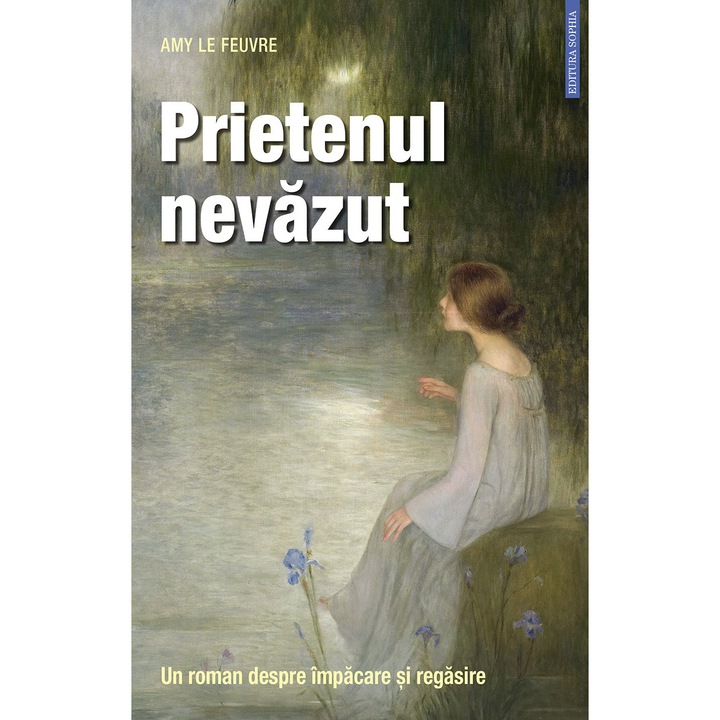 Prietenul nevazut. Un roman despre impacare si regasire, Amy Le Feuvre