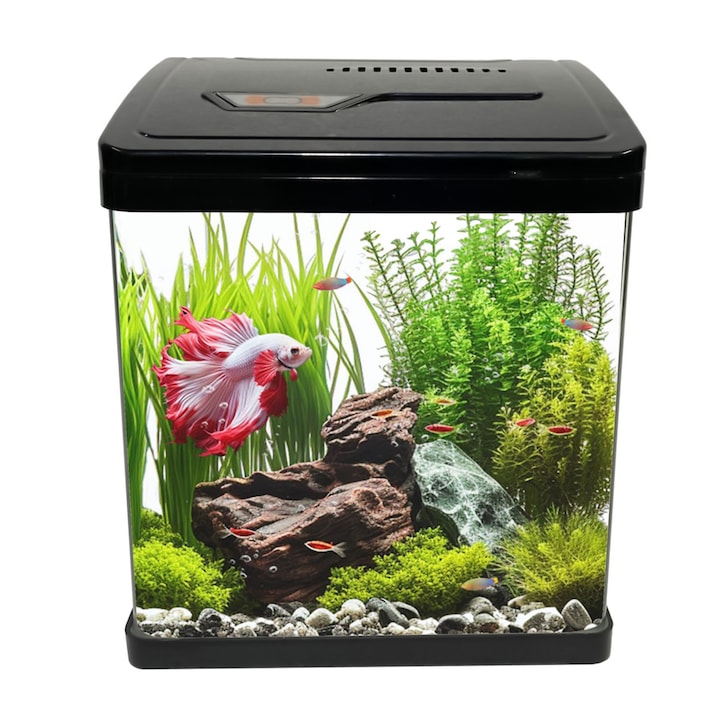Mini acvariu sticla, volum brut 5.9 litri, negru - 19 cm, volum net 4 litri, filtru, iluminare LED, design margini curbate