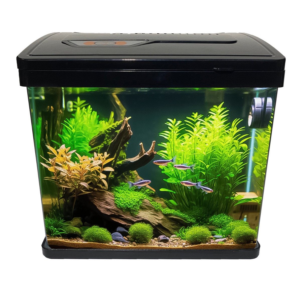 Cauți fish tank? Alege din oferta eMAG.ro