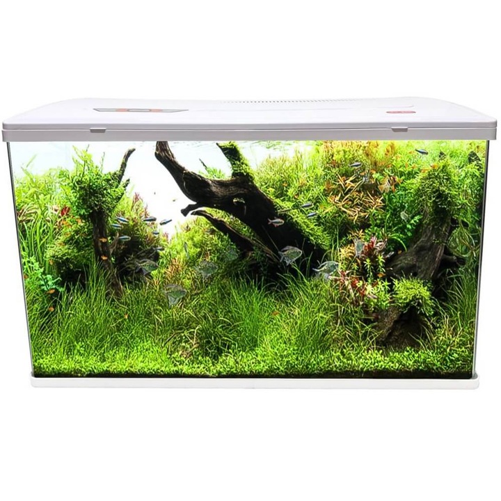 Acvariu mare din sticla 127 l alb LED cu filtru