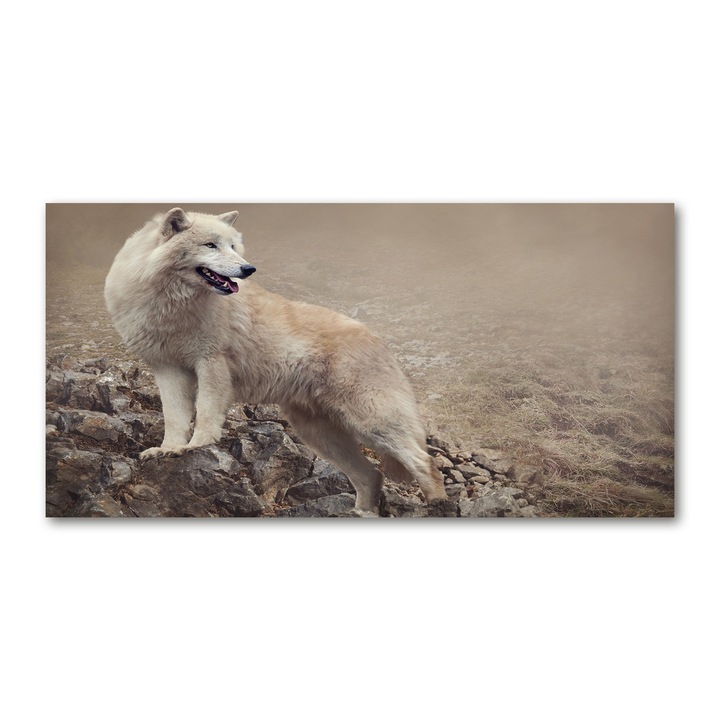 Vászon festmény, 140x70 cm, Fali dekoráció, Wolf fehér rock, 010030010100000005712