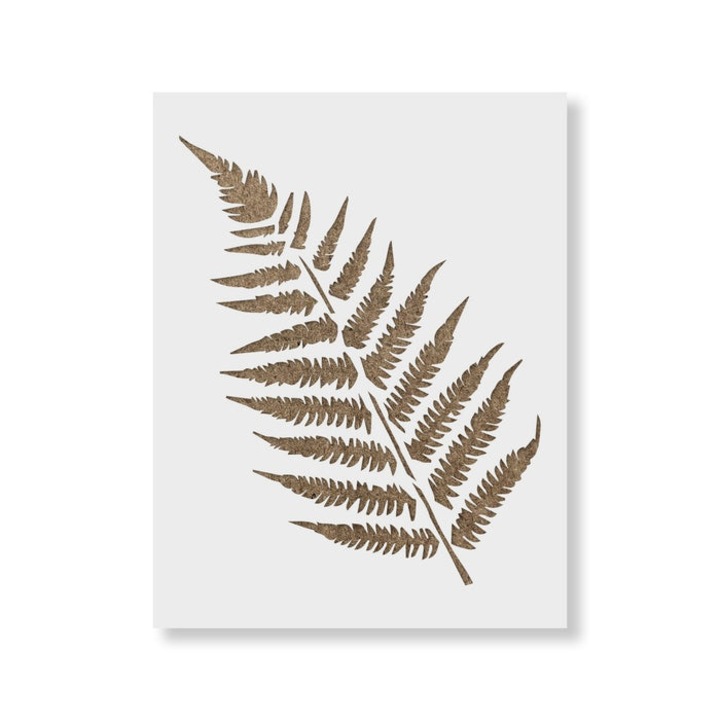 Sablon Perete vopsire, tencuiala 0.7mm Ferns Stencil Refolosibil, model MXSP7172, 100 x 100 mm