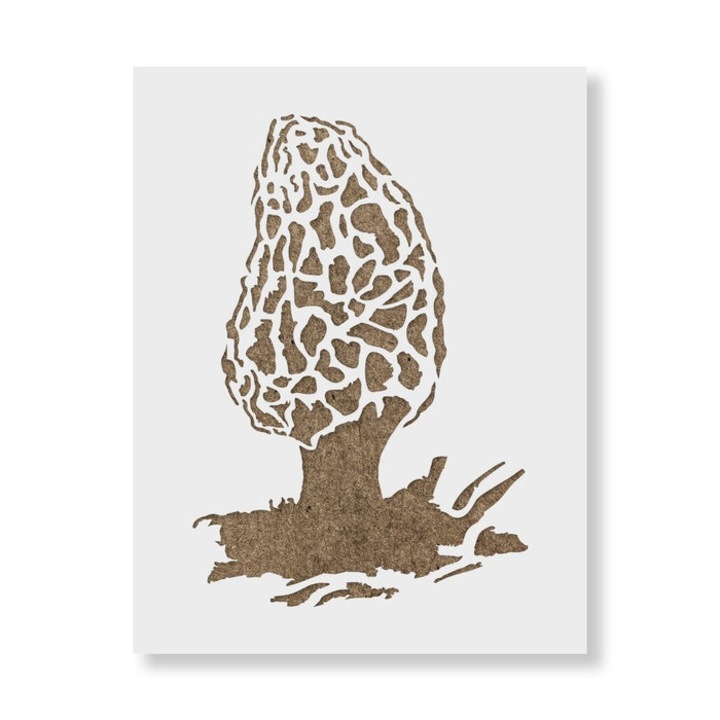 Sablon Perete vopsire, tencuiala 0.7mm Morel Mushroom Refolosibil, model MXSP7204, 100 x 100 mm