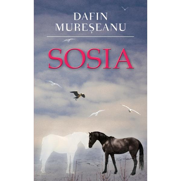 Sosia - Dafin Mureseanu