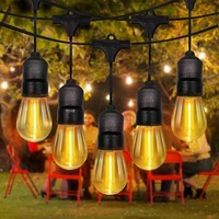Instalatie LED EDAR Tip Ghirlanda Interior/Exterior/Gradina/Terasa, Becuri Tip Bulb, Lumina Calda, Interconectabila, 2W, Temperatura Culoare 3000K, Rezistenta La Apa, Cu Alimentare La Priza, 5 Metri