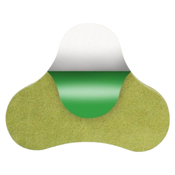 Set 10 plasturi pe baza de plante VICTINY ® pentru ameliorarea durerilor lombare