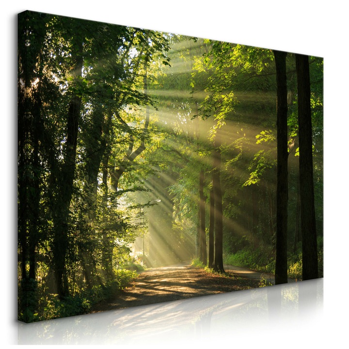 Картина Мурало, Природен горски декор за всекидневна 90 см x 60 см